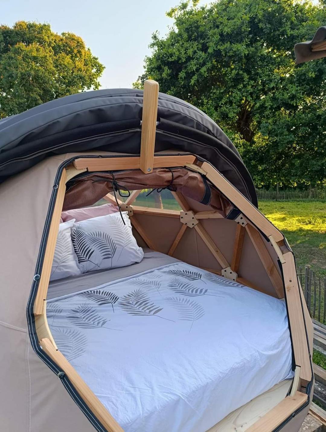 Campsite Insolite